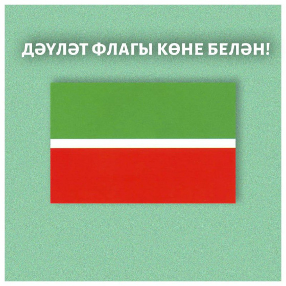 Дәүләт флагы көне!