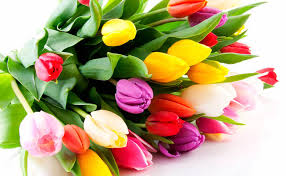 Гүзәл затларны бәйрәм белән! 