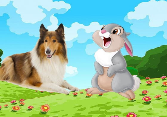 Микки фермасында кемнәр яши?