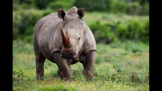 Табигать дөньясында.