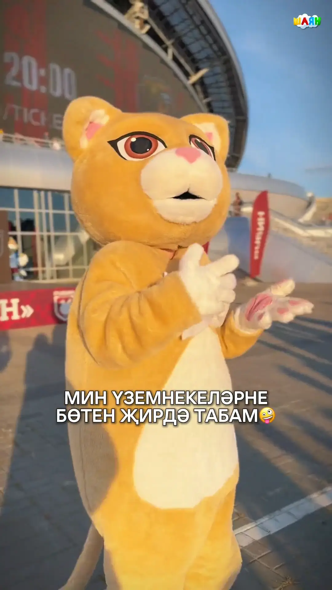 Мин үземнекеләрне бөтен җирдә табам