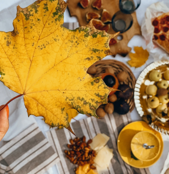 Көзен организмга кирәкле 5 ризык