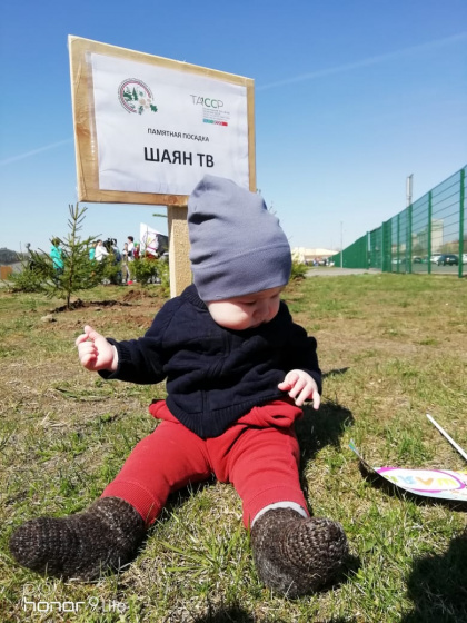 «Ярый, бәләкәч...»