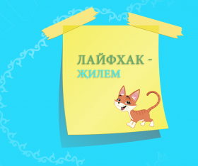 Лайфхак - җилем