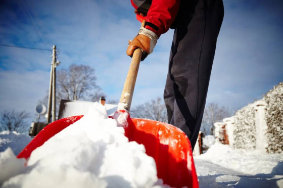 Урамнарны кардан чистарту өчен 2 атна вакыт кирәк