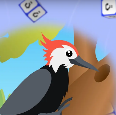 «Җавап тап» җыры кошлар белән таныштыра