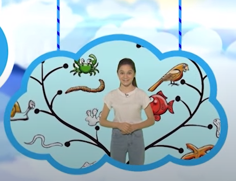 Табигать серләрен чишәбез!