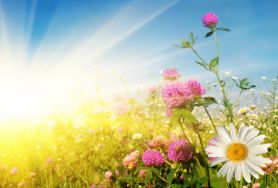 Июль аена ышанулар