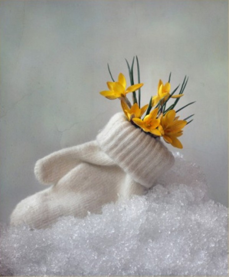 Кышны озатабыз...