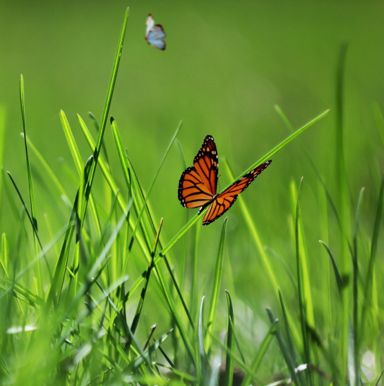 Бу җәйдә сине нәрсә көтә? 