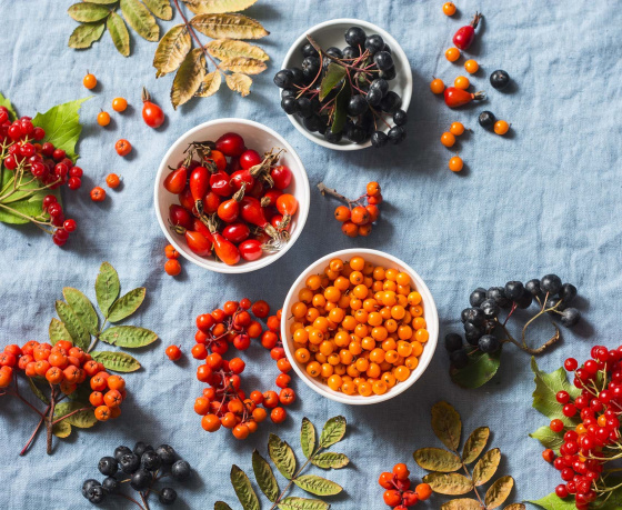 Көзге җимешләр төсләре белән дә дәвалый