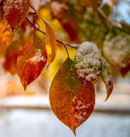 Казанда беренче карның кайчан явачагы билгеле