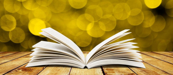 Китап турында...