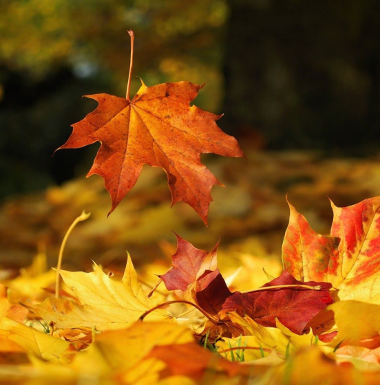 Иң җиңел көзге эшләнмәләр өчен 7 идея