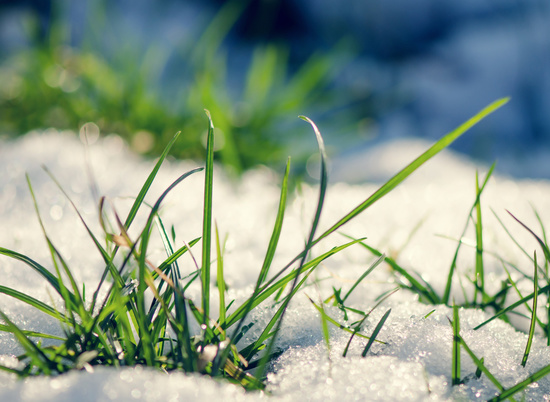 «Чияле» кыш!