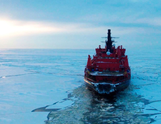 Ялларга - премьера