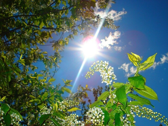 Кояш бәхет гормоннары бүләк итә: дөресме әллә ялганмы?