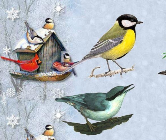 15 гыйнвар – Кышлаучы кошлар көне 