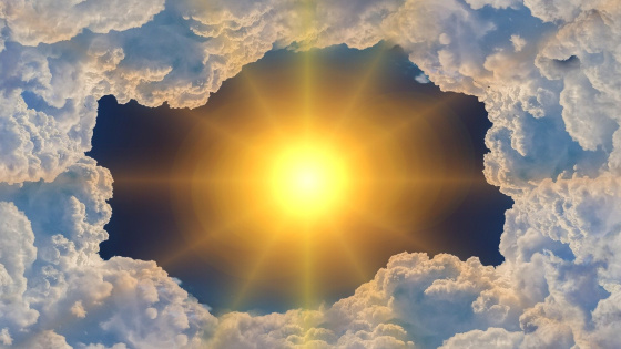 «КОЯШ» витаминын каян алырга?