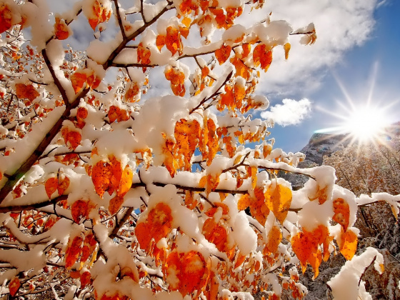 Салкын, саф һава!