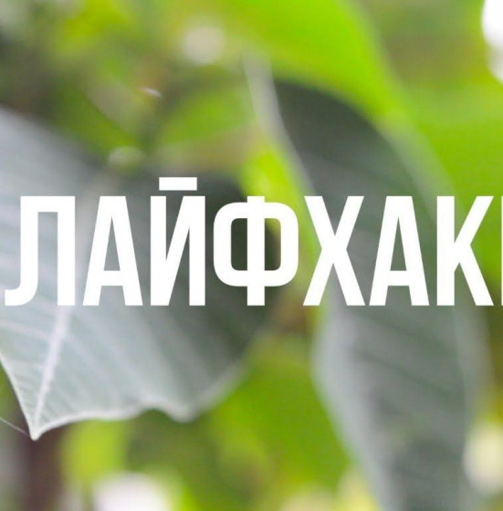 ФАЙДАЛЫ ЛАЙФХАКЛАР