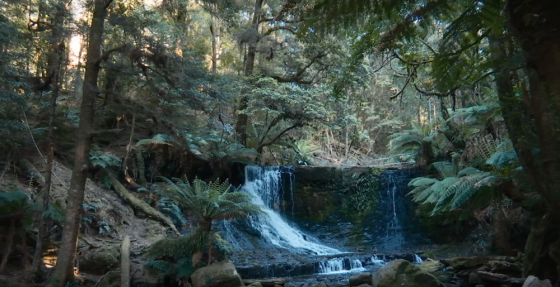 Бүгеннән яңа фильм!