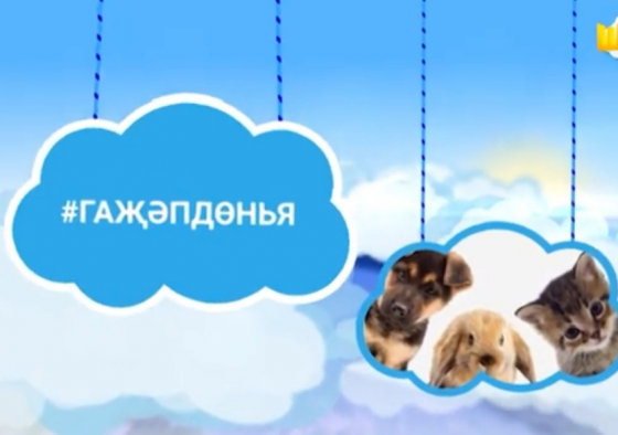 Гаҗәп дөнья: атлар баллы яратамы?