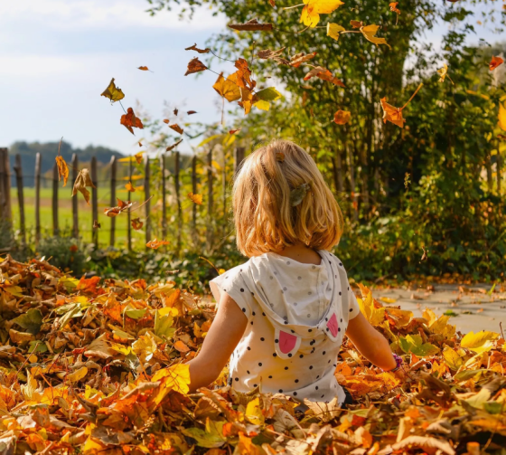 Көз көне туган кешеләрнең йөз яшькә җитү мөмкинлеге күбрәк