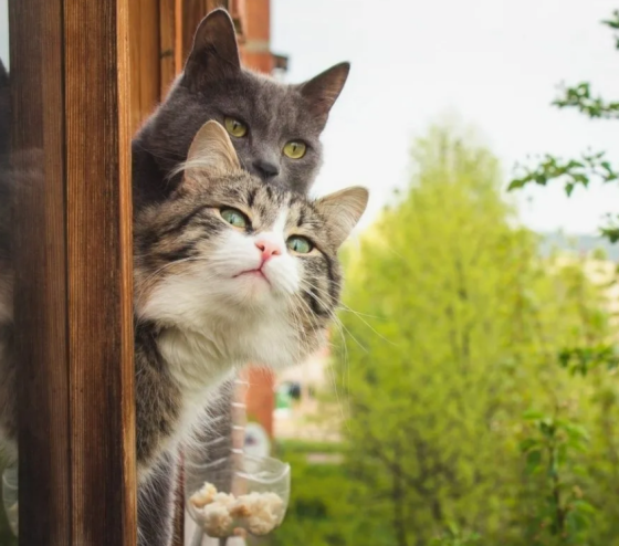 Эсселәр килә: температура нормадан 6 градуска җылырак булачак