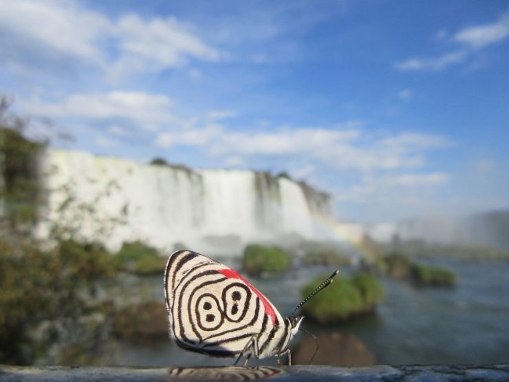 «Гаҗәеп ачышлар»