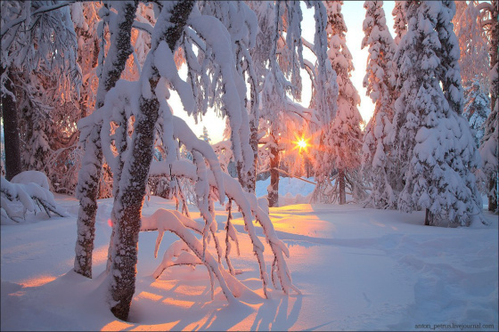 Гыйнвар нинди булыр?