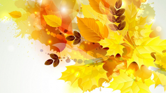 Көз белән бергәләп...