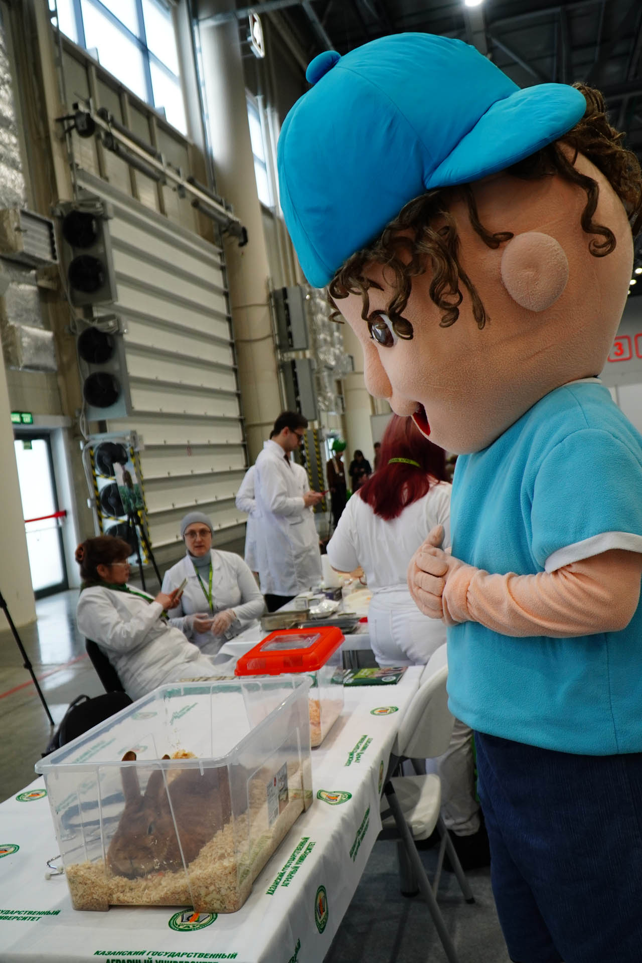 Казан Агро - 2026