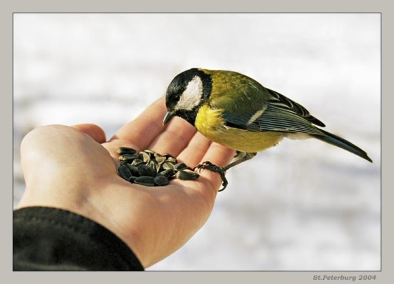 Яхшылык эшләргә ашыгыйк