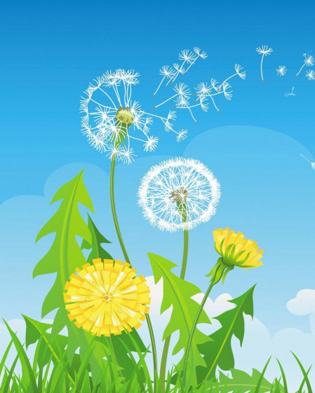 Истә калырлык җәй булсын!