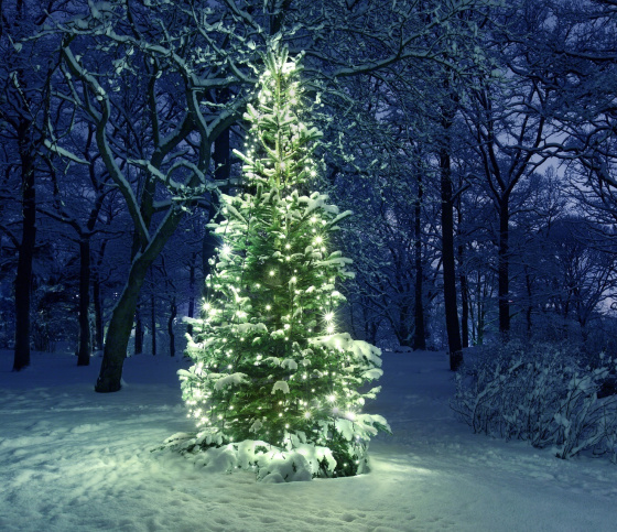 Чыршы җилле һава торышын яратмый