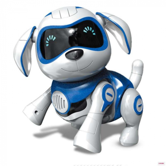 «ШАЯН робототехника»