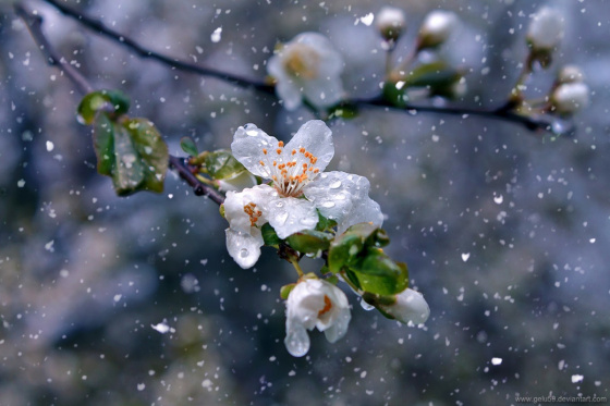 Татарстанда кар көтелә яки Җирне магнит давылы капларга мөмкин