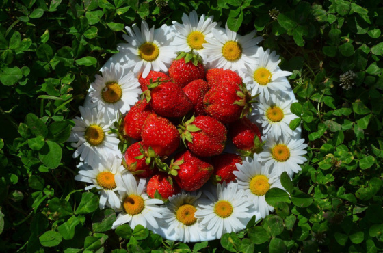 Көтеп алган җәй җитте