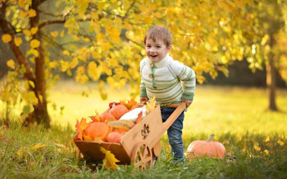 Кабак - дөньядагы иң зур җиләк