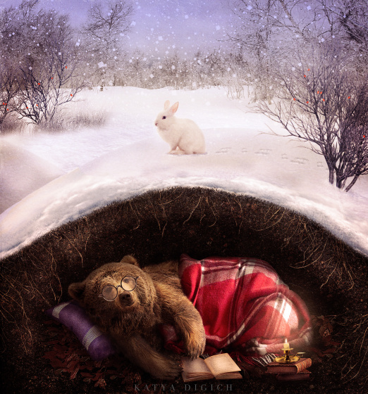 Аюның кышкы йокысы 200 көнгә бара