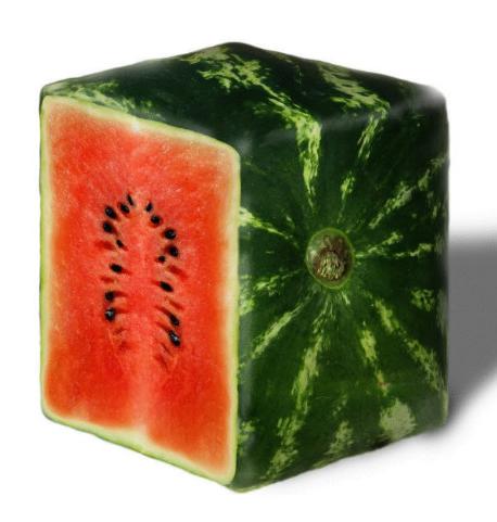 Шакмаклы карбыз ашаганыгыз бармы?