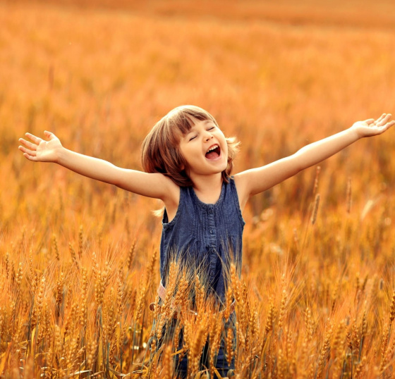 Сокланырга