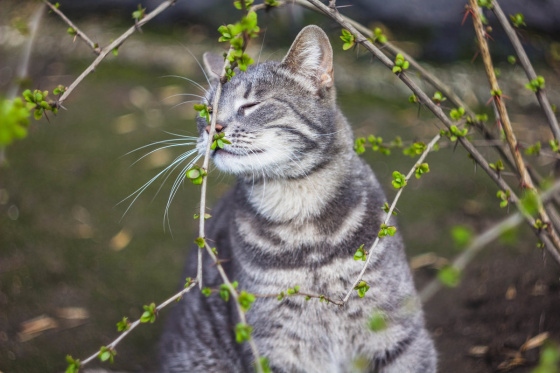 Апрельдә Татарстанда һава температурасы нормадан югарырак булачак
