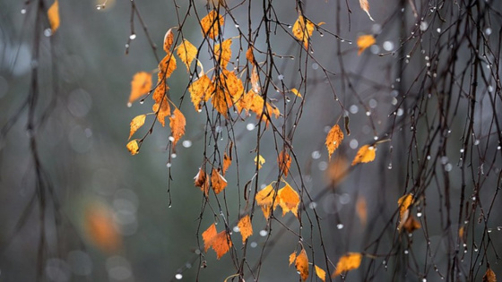 Ноябрь - бусагада кыш!